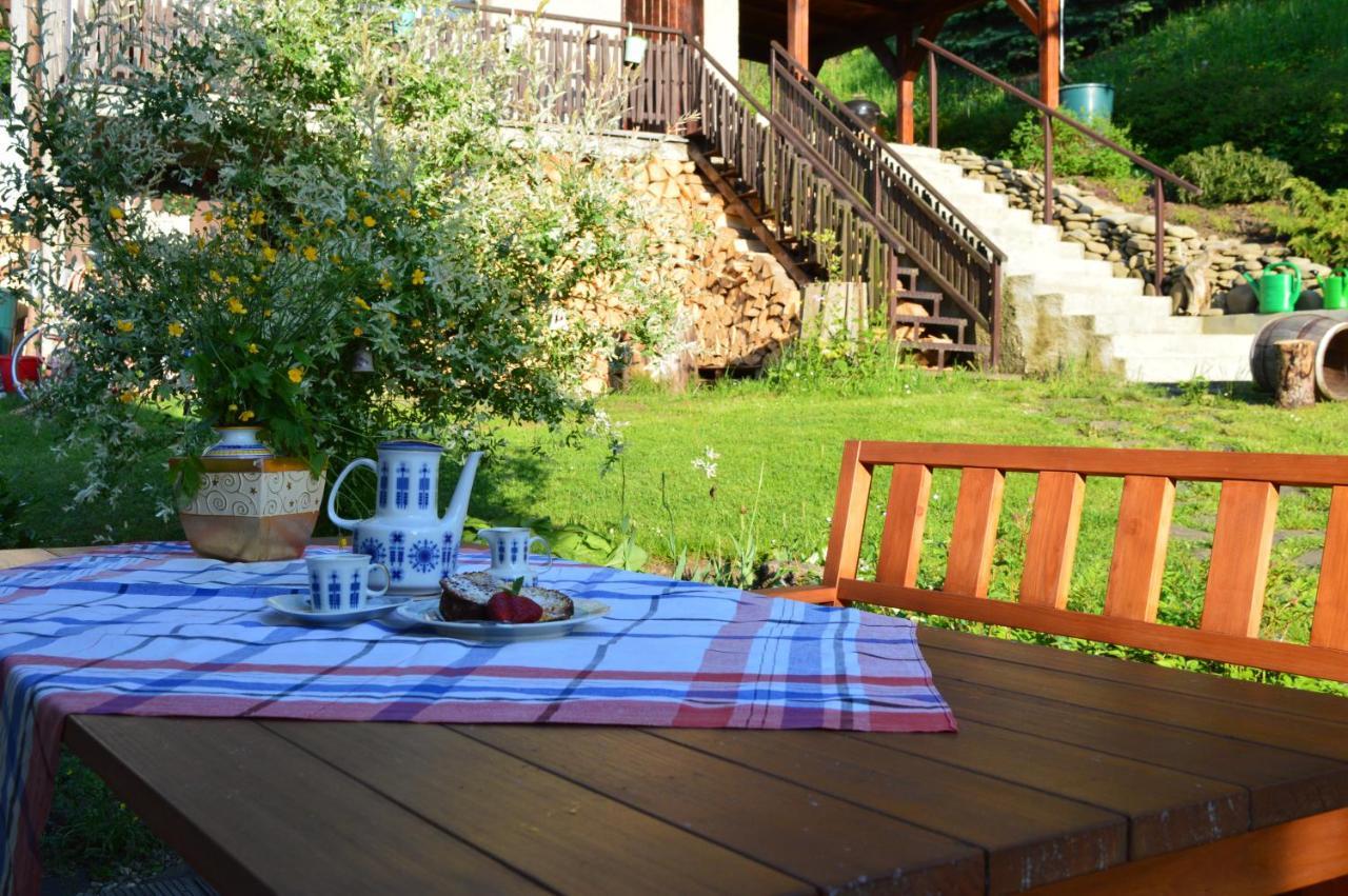 Dobra Chata V Dobre Villa Frýdek-Místek Buitenkant foto