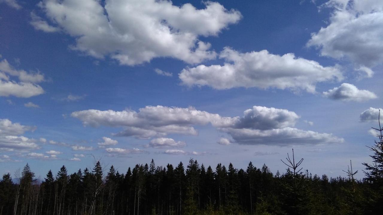 Dobra Chata V Dobre Villa Frýdek-Místek Buitenkant foto