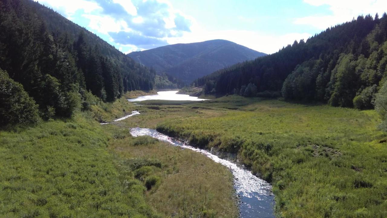 Dobra Chata V Dobre Villa Frýdek-Místek Buitenkant foto