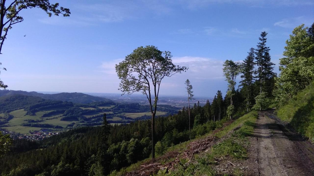 Dobra Chata V Dobre Villa Frýdek-Místek Buitenkant foto