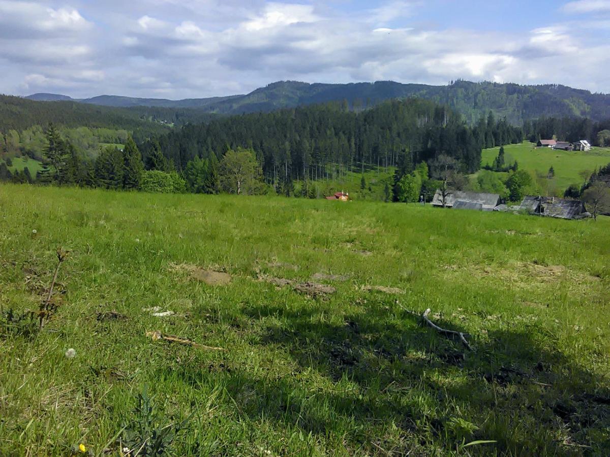 Dobra Chata V Dobre Villa Frýdek-Místek Buitenkant foto