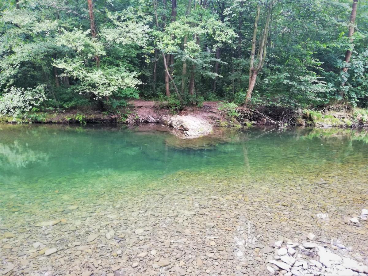 Dobra Chata V Dobre Villa Frýdek-Místek Buitenkant foto