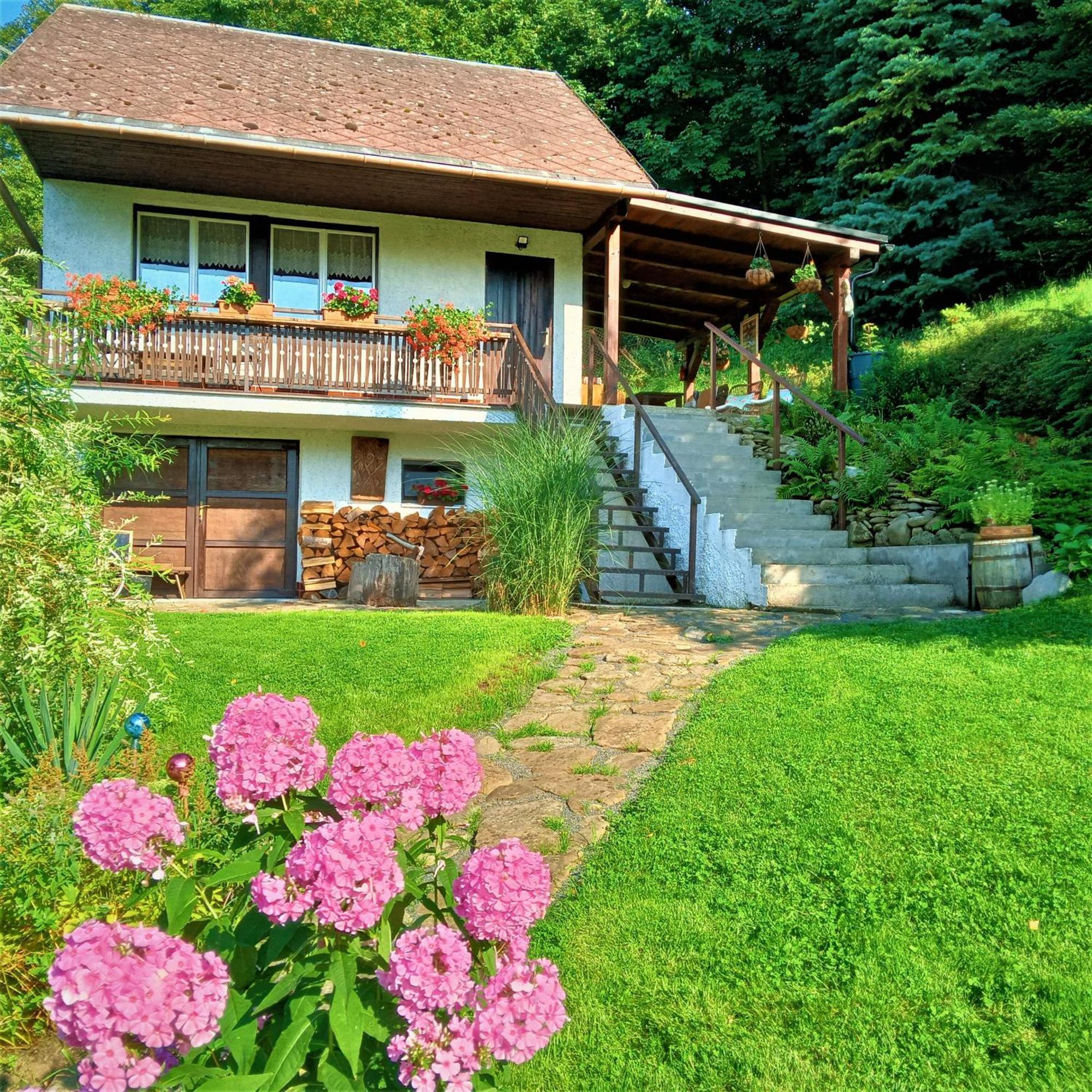 Dobra Chata V Dobre Villa Frýdek-Místek Buitenkant foto